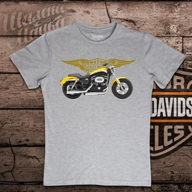 Прикольные футболки: Harley Davidson 015